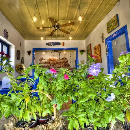 מלון Cunda Mavi (adults Only)