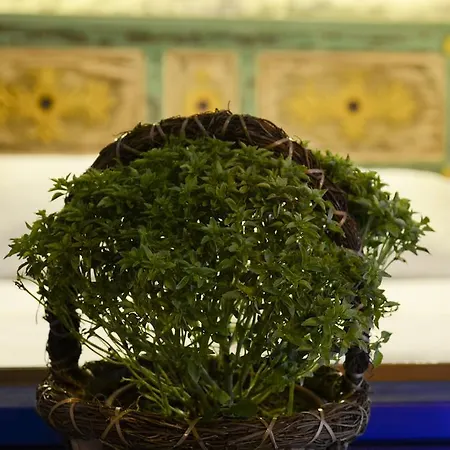 Cunda Mavi (adults Only) Ayvalı